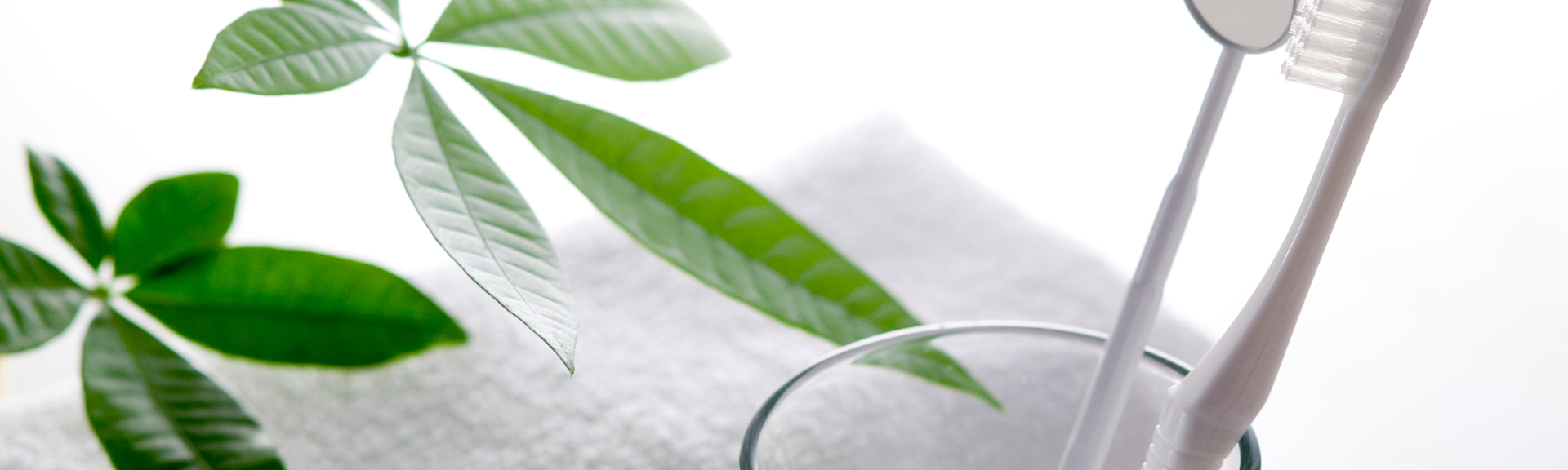 院内紹介｜西中歯科医院